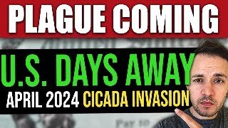 US PLAGUE COMING… Periodical Cicada Invasion April 2024 [upl. by Yhtomot]