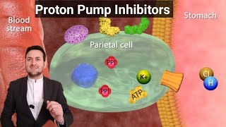 Proton Pump Inhibitors Animated Mechanism of Action [upl. by Aiello]