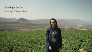 This family farm in the Western Cape region of South Africa grows our Spinneysfood potatoes [upl. by Anirbes172]