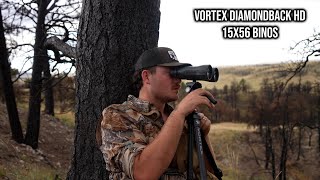 Vortex Diamondback HD 15x56 Bino Review  Testing on Muley amp Whitetail Hunts [upl. by Teiluj]