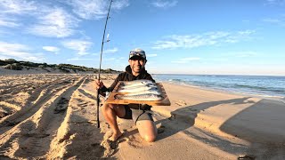 Solo Beach Fishing quot Plastics Twisty  CATCH and COOK [upl. by Trab]