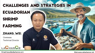 Reduce shrimp feed costBile acids help shrimp feed mill reduce feed cost [upl. by Bord656]