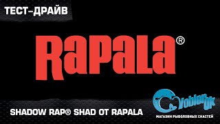 Тестдрайв воблера Shadow Rap® Shad от Rapala Новинка 2016 года [upl. by Nnaeus220]