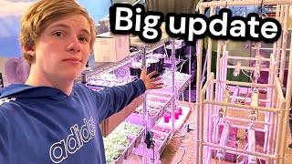 Grow Room Tour Big Update [upl. by Gram506]