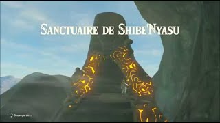 Sanctuaire de ShibeNyasu  Esprit Jumelés  Zelda Breath of the Wild [upl. by Lilhak]