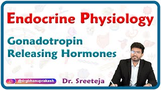 Gonadotropin Releasing Hormones  Endocrine physiology USMLE Step 1 [upl. by Veronike]