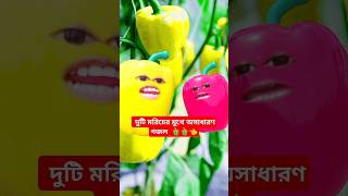 Hasbi Rabbi jallallah naat 🫑🫑👈shorts islamic ইসলামিকগজল trending fruit [upl. by Oibirot287]