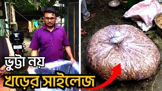 খড়ের সাইলেজ তৈরির নিয়ম  ধানের খড় থেকে সাইলেজ পদ্ধতি  আধুনিক পদ্ধতিতে ধানের সাইলেজ তৈরি [upl. by Lorette344]