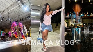 JAMAICA VLOG  BAR HOPPING  CARNIVAL 2024 BAND LAUNCH  COOK VIRAL TIKTOK MEAL w US  Vlog 47 [upl. by Monto]