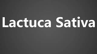 How To Pronounce Lactuca Sativa [upl. by Meyeroff541]