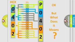 DTC Audi P0402 Short Explanation [upl. by Bertrand]