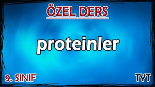 6 Proteinler  Özel Ders 9 Sınıf [upl. by Novaj278]