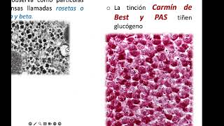 Inclusiones [upl. by Wilhide]