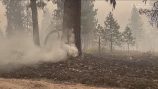 Wildfire roundup Wapiti Fire at 12 containment [upl. by Ydnam908]