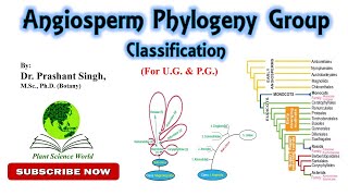 Angiosperm Phylogeny Group APG Classification For UG amp PG [upl. by Netsreik947]