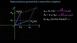 Reprezentarea geometrică a numerelor complexe  LectiiVirtualero [upl. by Shipman]