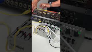 808 day jam featuring Cascadia amp Metropolix intellijel 808 cascadia [upl. by Chavez]