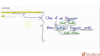 Common detritivores in our ecosystem are [upl. by Accire]