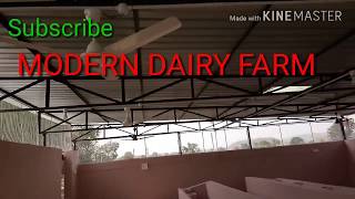 CONSTRUCTION OF MODERN DAIRY FARM  DESIGN OF MODERN CATTLE SHED  DAIRY SHED  MODERN COW SHED [upl. by Gnuh]