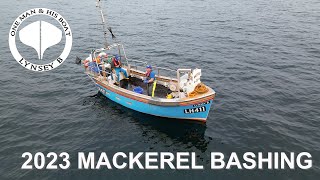 2023 Mackerel Bashing [upl. by Arammahs]