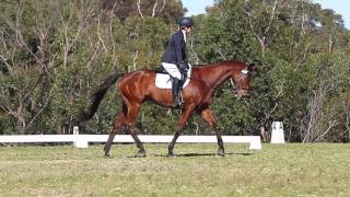 Amy amp Sam  Prelim 12 dressage test [upl. by Anined]