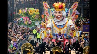 The Advocates Mardi Gras Live Stream Watch 2019 parades roll [upl. by Aunson]