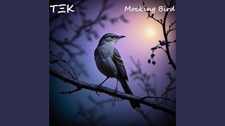 Mocking Bird [upl. by Bone]