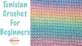 Tunisian Crochet for Beginners  ONE row repeat for scarves and blankets Tunisian Simple Stitch [upl. by Areem]