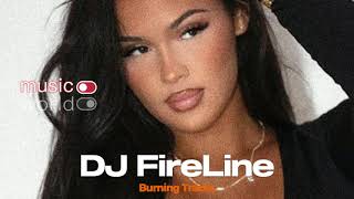 DJ FireLine  Burning Tracks 2024 Exclusive [upl. by Idnil78]