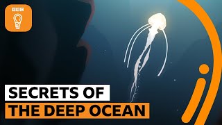 The secrets of the deep ocean  The Royal Society [upl. by Akienahs19]