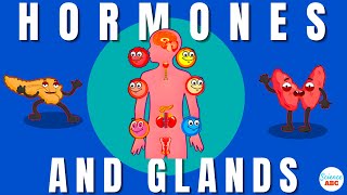 Endocrine System Glands and Hormones [upl. by Fanchette]