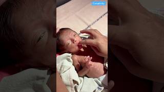 Newborn baby care Video medical cutebaby viralvideo [upl. by Etnauq]