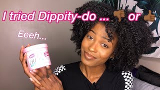 DippityDo Girls With Curls Styling Gelee Review Type 4a3c  Wash N Go [upl. by Branden964]