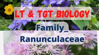 FamilyRanunculaceae LT grade biology TGT bio [upl. by Levinson]