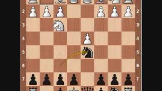 Chess Openings Scandinavian Defense [upl. by Shanleigh458]