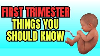 First Trimester Things You Need To Know [upl. by Nylcoj]