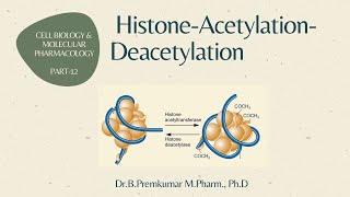 Histone Acetylation Deacetylation  CBMP  Part 12 [upl. by Primrose]