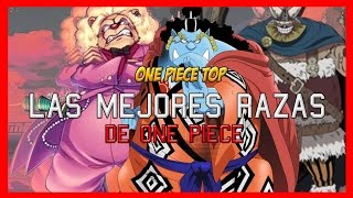 One Piece Top  Las Mejores Razas [upl. by Uliram]