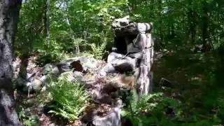 Williamsville Mine ABANDONED RUINS [upl. by Malinda458]