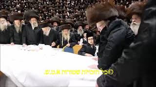 Belzer Rebbe Motzei Yom Kippur 5785 [upl. by Lili]