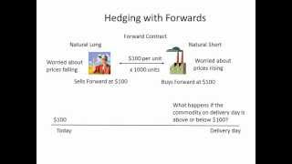 Hedging with Forwards [upl. by Greenwood]