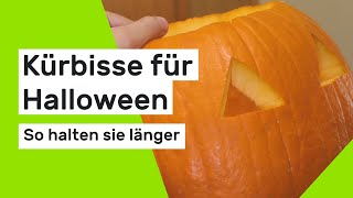 Halloween So halten Kürbisse länger [upl. by Swann]