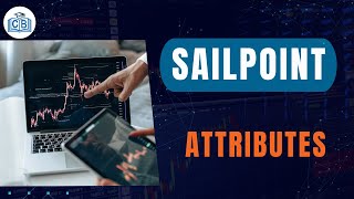 Attributes  Learn Sailpoint  Overview on Sailpoint  Sailpoin for Beginners  Cyberbrainer [upl. by Adall219]