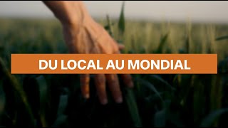 Capsule  Du local au mondial [upl. by Marie-Jeanne]