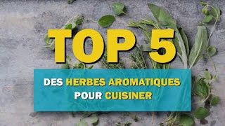 Top 5 des herbes aromatiques pour cuisiner [upl. by Alyat]