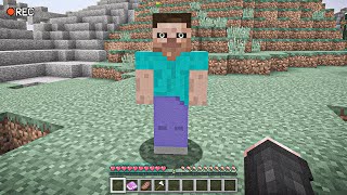 I SAW HEROBRINE IN MINECRAFT… [upl. by Eiramadnil]