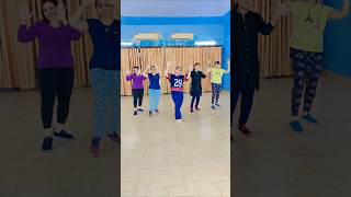 Sadi ka falsa dance sareekefallsa bollywood song  dancecover dancer youtubeshorts viral [upl. by Paulita]