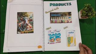 Project on Verka milk plant [upl. by Chang]