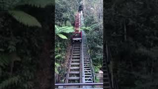 Scenic railway Blue Mountains railway train steepest dangerous [upl. by Cioffred]