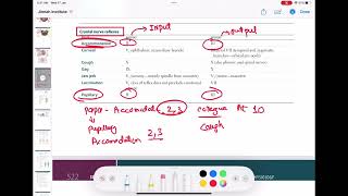 cranial Nerves reflexes neurology 55  First Aid USMLE Step 1 in UrduHindi [upl. by Vivyanne]